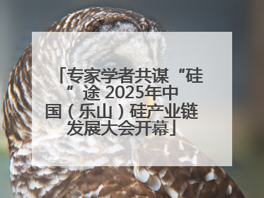专家学者共谋“硅”途 2025年中国（乐山）硅产业链发展大会开幕