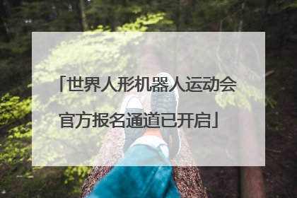 世界人形机器人运动会官方报名通道已开启
