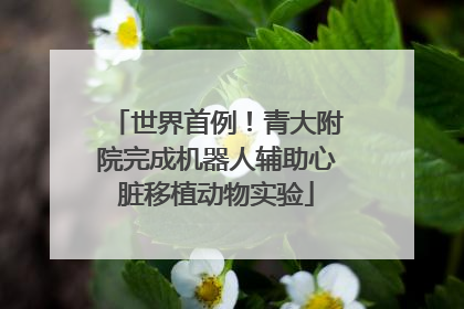 世界首例！青大附院完成机器人辅助心脏移植动物实验
