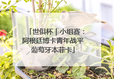 世俱杯｜小组赛：阿根廷博卡青年战平葡萄牙本菲卡