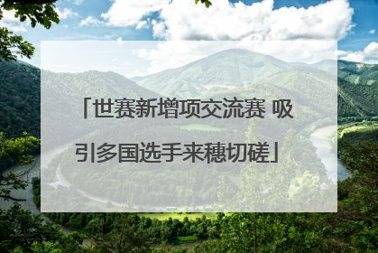 世赛新增项交流赛 吸引多国选手来穗切磋