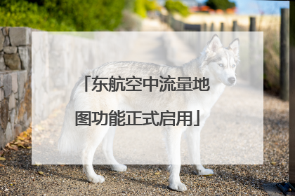 东航空中流量地图功能正式启用