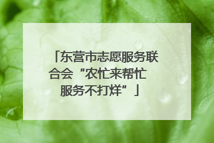 东营市志愿服务联合会“农忙来帮忙 服务不打烊”