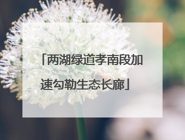 两湖绿道孝南段加速勾勒生态长廊