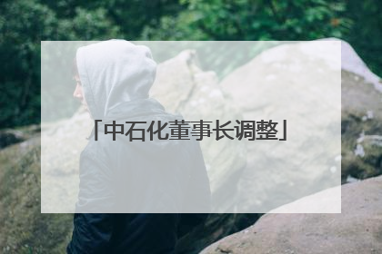 中石化董事长调整
