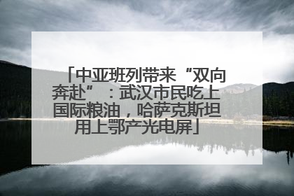 中亚班列带来“双向奔赴”：武汉市民吃上国际粮油，哈萨克斯坦用上鄂产光电屏