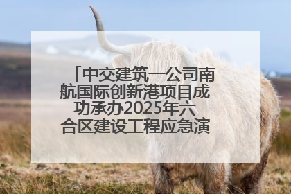 中交建筑一公司南航国际创新港项目成功承办2025年六合区建设工程应急演练现场观摩活动