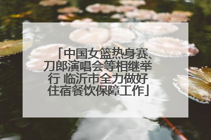 中国女篮热身赛、刀郎演唱会等相继举行 临沂市全力做好住宿餐饮保障工作