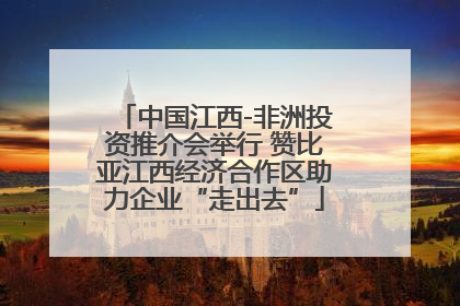 中国江西-非洲投资推介会举行 赞比亚江西经济合作区助力企业“走出去”