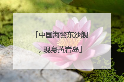 中国海警东沙舰，现身黄岩岛