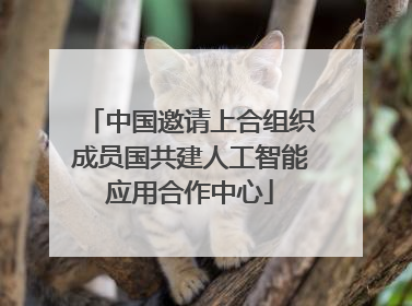 中国邀请上合组织成员国共建人工智能应用合作中心