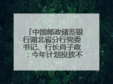 中国邮政储蓄银行湖北省分行党委书记、行长肖子政：今年计划投放不少于2000亿元支持支点建设