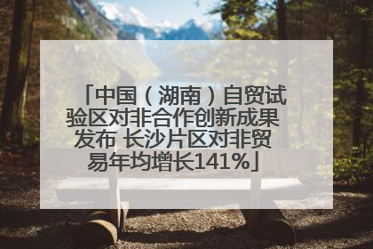 中国（湖南）自贸试验区对非合作创新成果发布 长沙片区对非贸易年均增长141%
