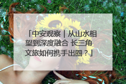 中安观察｜从山水相望到深度融合 长三角文旅如何携手出圈？