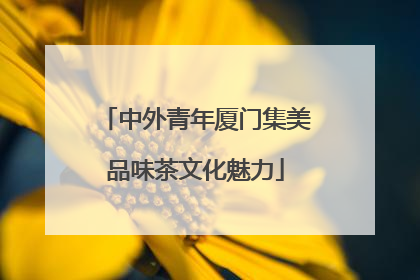 中外青年厦门集美品味茶文化魅力