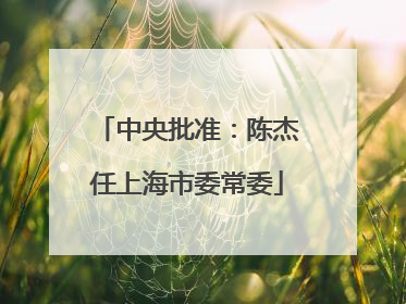中央批准：陈杰任上海市委常委