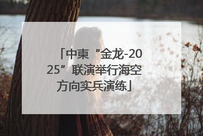 中柬“金龙-2025”联演举行海空方向实兵演练