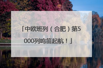 中欧班列（合肥）第5000列鸣笛起航！