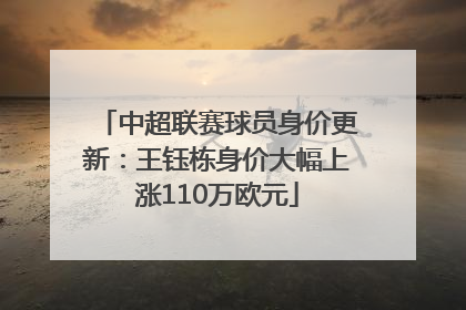 中超联赛球员身价更新：王钰栋身价大幅上涨110万欧元