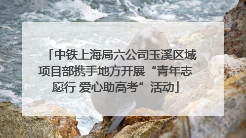 中铁上海局六公司玉溪区域项目部携手地方开展“青年志愿行 爱心助高考”活动