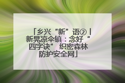 乡兴“新”语②丨新晃凉伞镇：念好“四字诀” 织密森林防护安全网