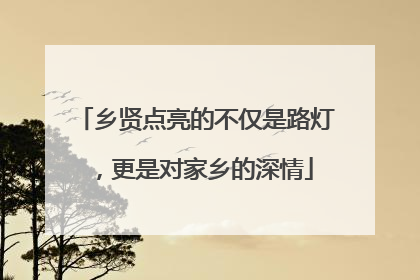 乡贤点亮的不仅是路灯，更是对家乡的深情