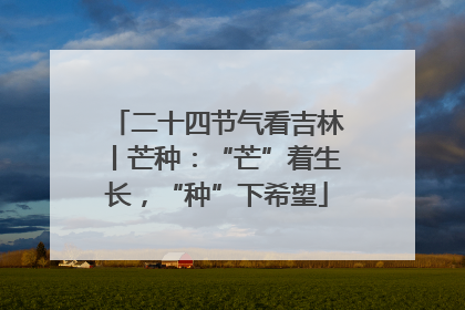 二十四节气看吉林丨芒种：“芒”着生长，“种”下希望