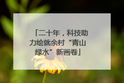 二十年，科技助力绘就余村“青山绿水”新画卷