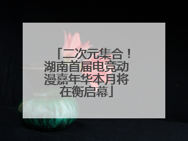 二次元集合！湖南首届电竞动漫嘉年华本月将在衡启幕