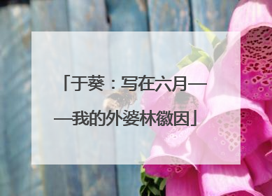 于葵：写在六月——我的外婆林徽因