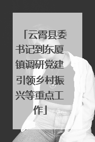 云霄县委书记到东厦镇调研党建引领乡村振兴等重点工作