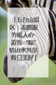五台山景区：志愿服务暖人心 游客“粽”情山水共享假日美好