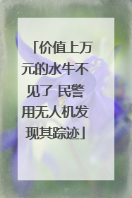 价值上万元的水牛不见了 民警用无人机发现其踪迹