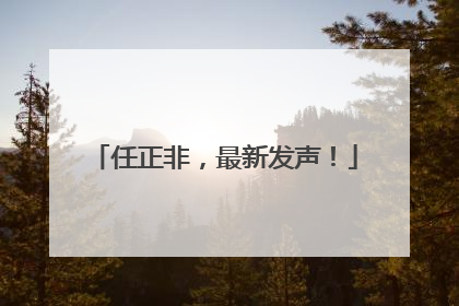 任正非，最新发声！