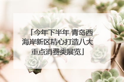 今年下半年 青岛西海岸新区精心打造八大重点消费类展览