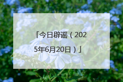 今日辟谣（2025年6月20日）
