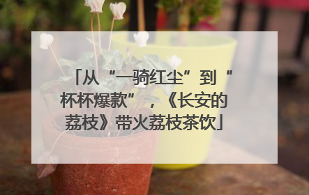 从“一骑红尘”到“杯杯爆款”，《长安的荔枝》带火荔枝茶饮