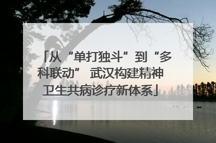 从“单打独斗”到“多科联动” 武汉构建精神卫生共病诊疗新体系