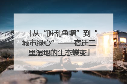 从“脏乱鱼塘”到“城市绿心”——宿迁三里湿地的生态蝶变