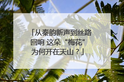 从秦韵新声到丝路回响 这朵“梅花”为何开在天山？
