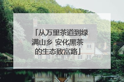 从万里茶道到绿满山乡 安化黑茶的生态致富路