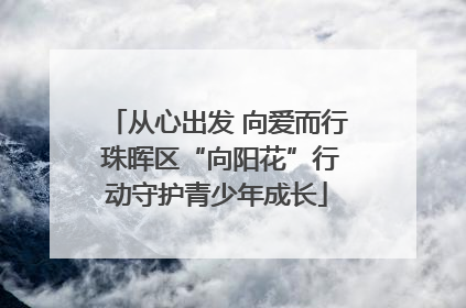 从心出发 向爱而行 珠晖区“向阳花”行动守护青少年成长