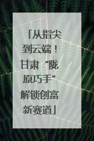 从指尖到云端！甘肃“陇原巧手”解锁创富新赛道