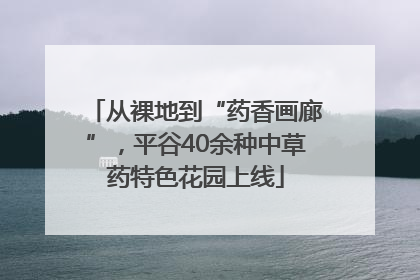 从裸地到“药香画廊”，平谷40余种中草药特色花园上线