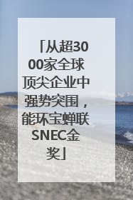 从超3000家全球顶尖企业中强势突围，能环宝蝉联SNEC金奖