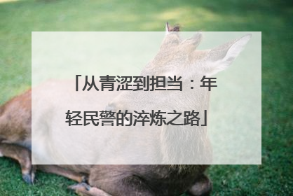 从青涩到担当：年轻民警的淬炼之路