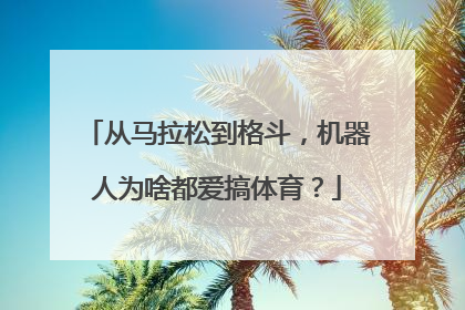 从马拉松到格斗，机器人为啥都爱搞体育？