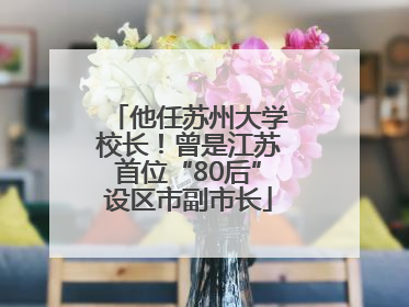 他任苏州大学校长！曾是江苏首位“80后”设区市副市长
