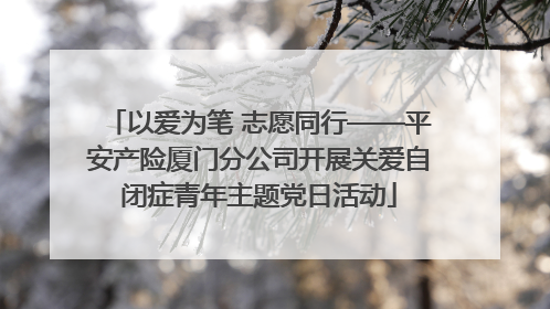 以爱为笔 志愿同行——平安产险厦门分公司开展关爱自闭症青年主题党日活动