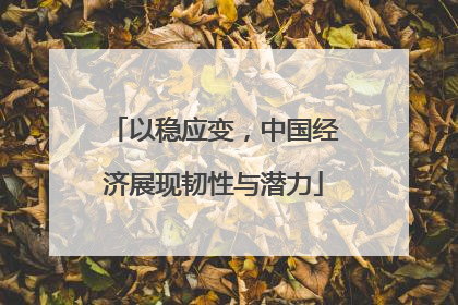 以稳应变，中国经济展现韧性与潜力